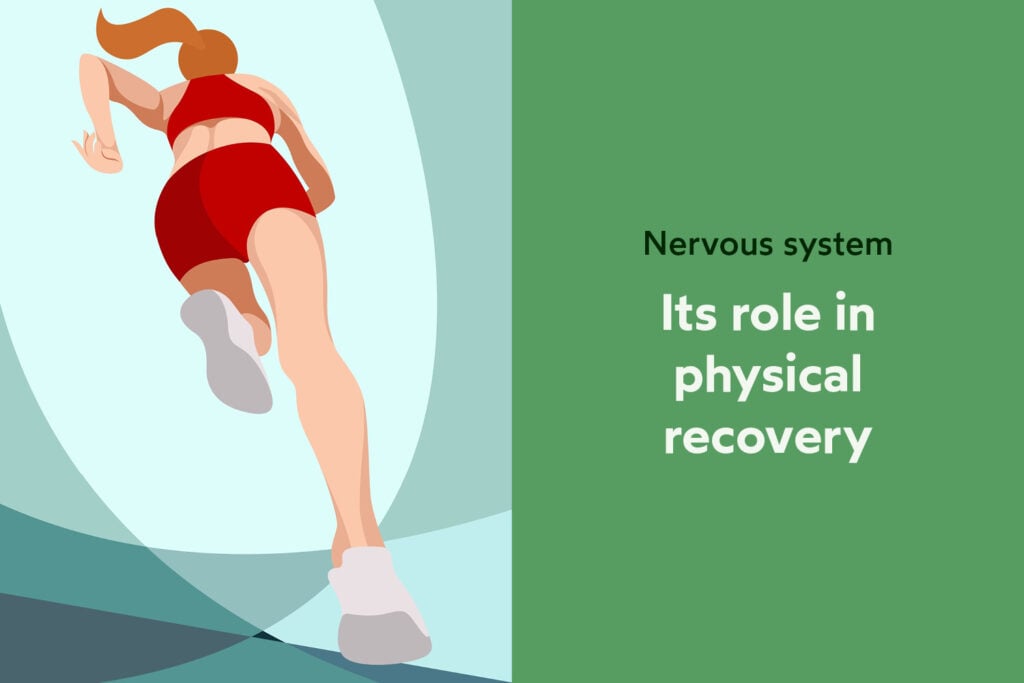The Nervous System's Role in Physical Recovery - Evolve Chiropractic