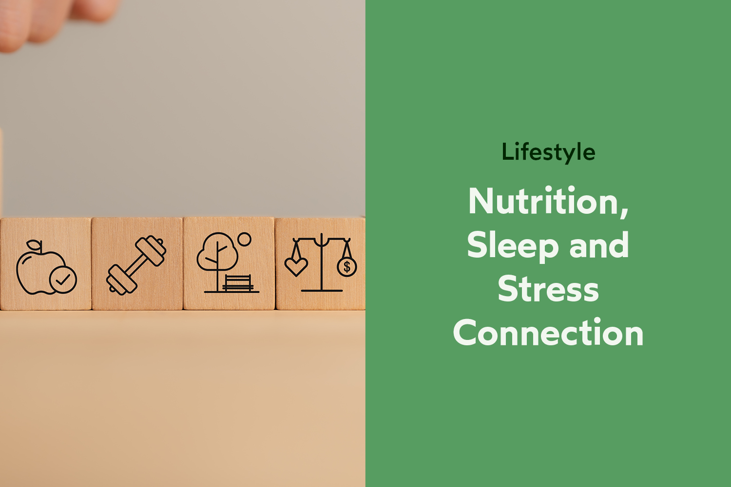 The Bigger Picture: How Nutrition Interacts with Sleep and Stress
