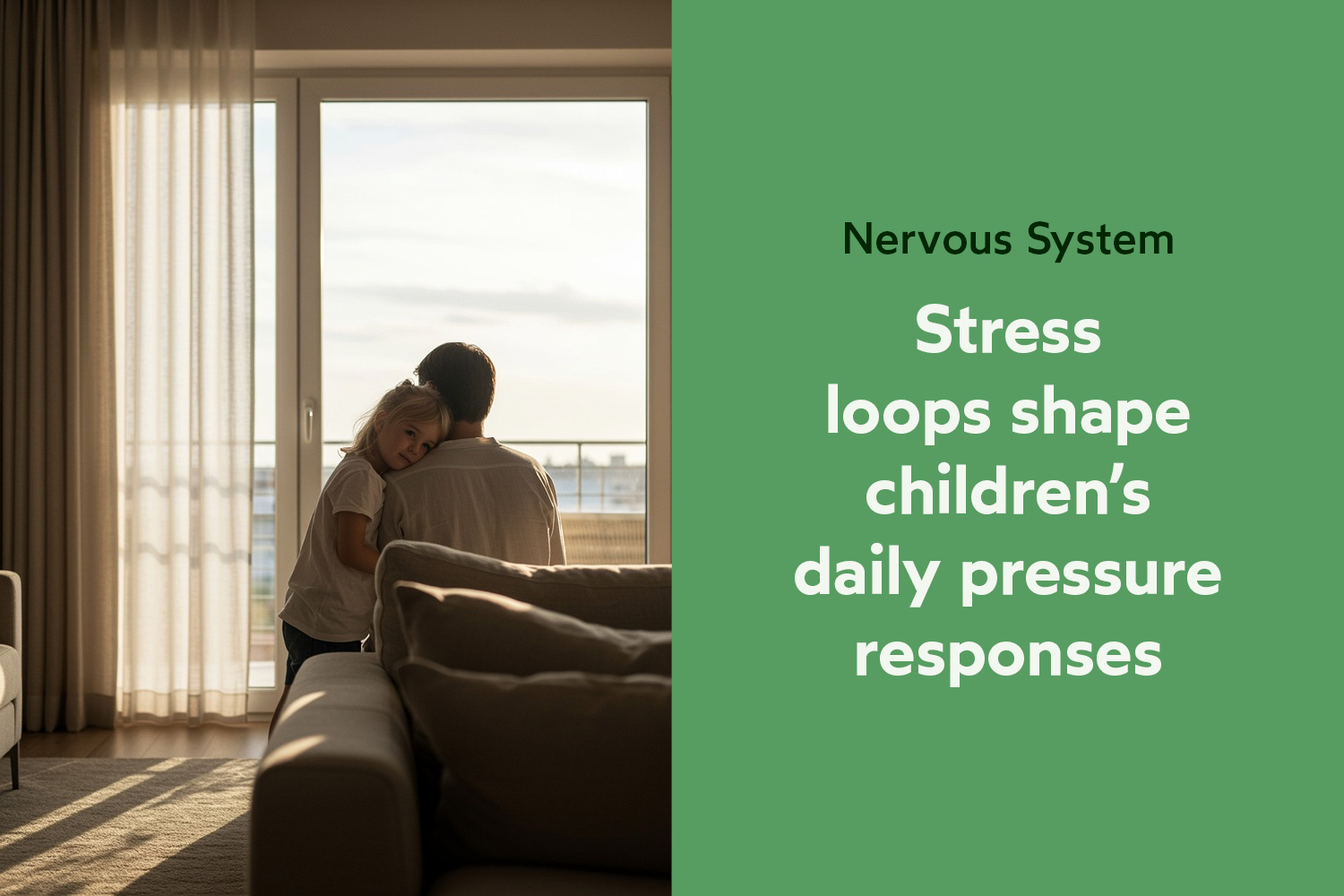 The Stress and Nervous System Loop: How Children’s Bodies Respond to Daily Pressure